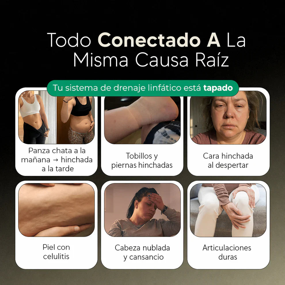 Fórmula de Máxima Concentración — Cápsulas de Drenaje Linfático by LiviaFlow™