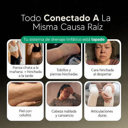 Fórmula de Máxima Concentración — Cápsulas de Drenaje Linfático by LiviaFlow™